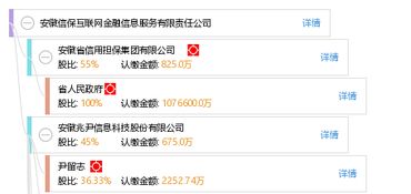 安徽信?；ヂ摼W金融信息服務有限責任公司 深耕互聯網信息服務，賦能區域金融創新